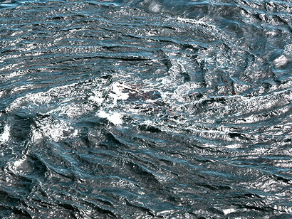 Correntes marítimas