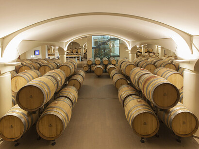 Cantina per la conservazione del vino