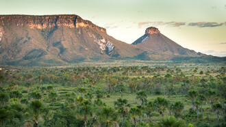 Descubra a beleza natural do Jalapão, no Tocantins, Brasil. Conheça seus fervedouros de águas cristalinas e paisagens exuberantes. Uma experiência imperdível para os amantes do ecoturismo!