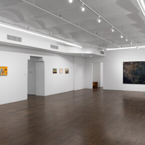Various artists, In medias res, exhibition view. Courtesy of Derosia Gallery