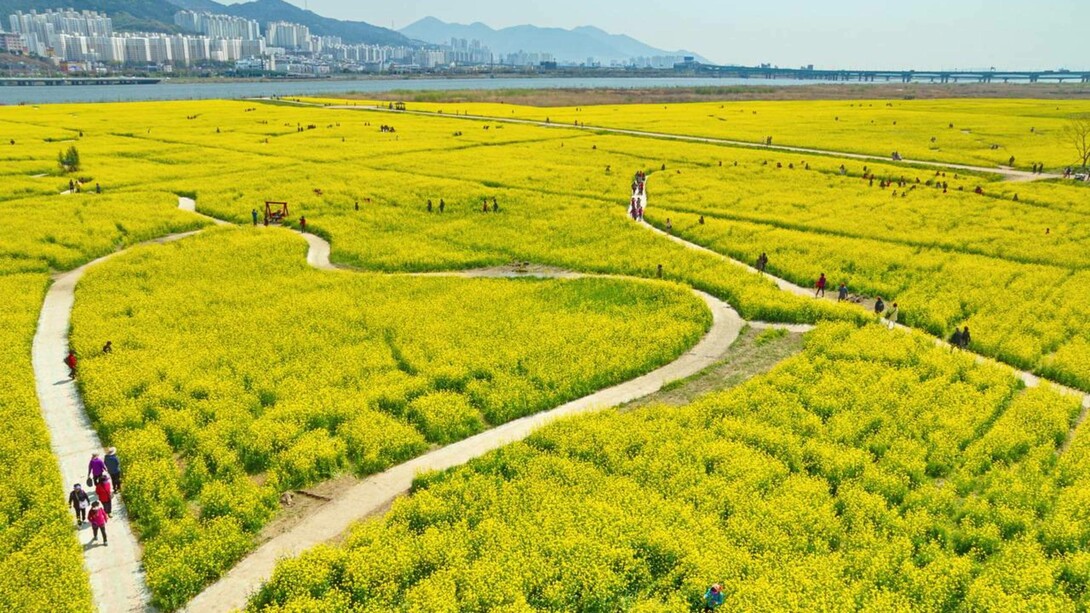 Daejeo Ecological Park, Busan, South Korea