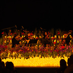 Candlelight: speciale San Valentino. Per gentile concessione di Fever