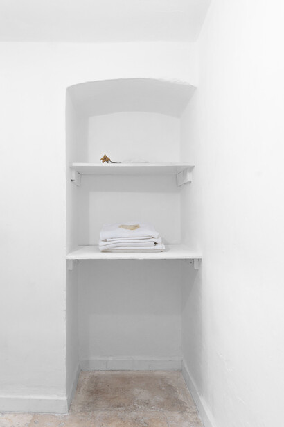 Superhost, Installation view, Chiara Camoni, The Institute of Queer Ecology.