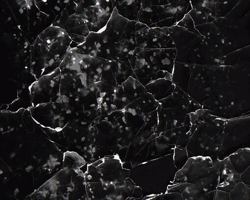 Dark Waters. Courtesy of Denny Gallery