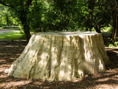 Anya Gallaccio. Courtesy of The Contemporary Austin