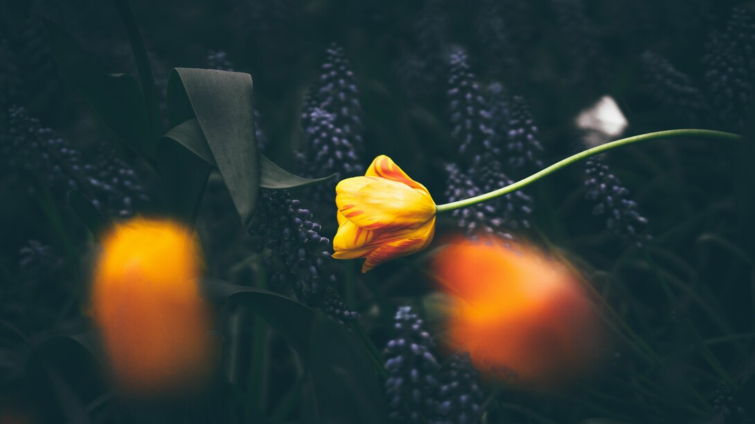 Hay personas que no sienten atracción sexual