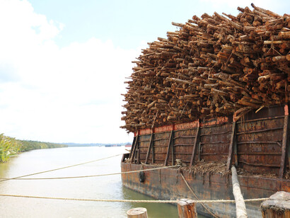 Wood transportation on rivers 