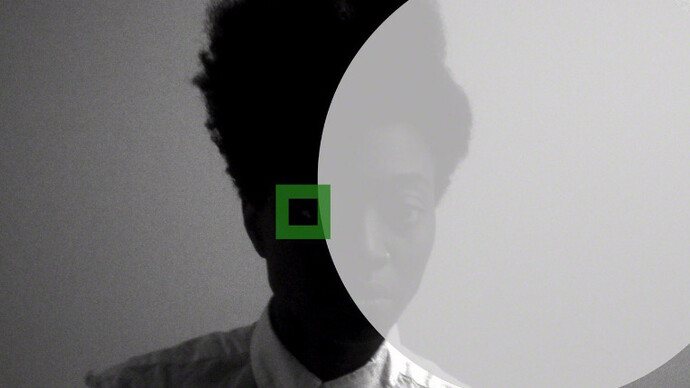 Facial Profiling. Courtesy of C24 Gallery