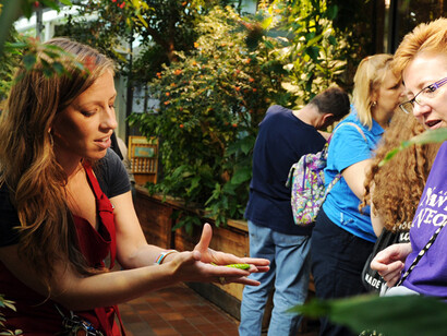 Butterfly Garden. Courtesy of Museum of Science