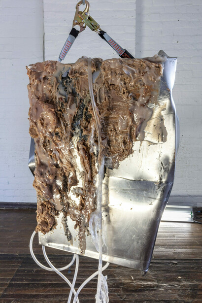 Andrea Peña, States of transmutation, exhibition view. Courtesy of Mattress Factory