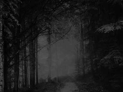 Une figure parfaite de l'aliénation