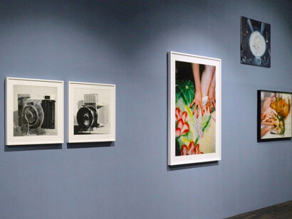 My Garden of Eden. Courtesy of Christophe Guye Galerie