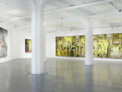 The Water Lily Pond of Life, Exhibition view. Courtesy of Zhou B Art Center