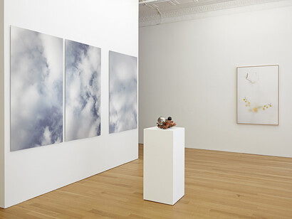 Installation view of In the (very) beginning.  Courtesy the artist and Peter Blum Gallery, New York
 