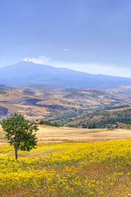 Vista dell'Etna dalle campagne, a giugno