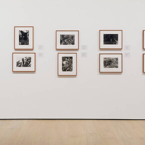 Celebration of Our Enemies. Courtesy of Hammer Museum