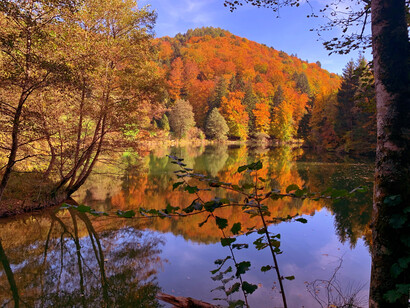 Dans le parc naturel de l'Arboretum, vous pourrez admirer des vues fascinantes sur les couleurs automnales, le 21 octobre 2020. Photo de Shirley Pearley