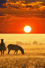 African sunset