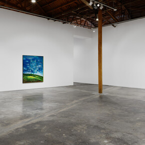 Ross Caliendo, Peace fellow, exhibition view. Courtesy of the artist and Night Gallery, Los Angeles. Photography by Marten Elder