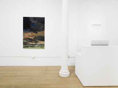 Various artists, Superbloom, exhibition view. Courtesy of Arsenal Contemporary