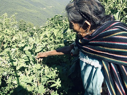Pilar mientras me lleva a explorar su fragante y variado jardín