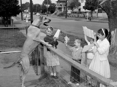 It’s Raining Cats and Dogs. Courtesy of MOHAI