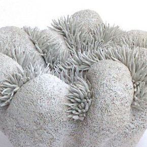 Ellen van der Woude. Courtesy of Galerie Schortgen