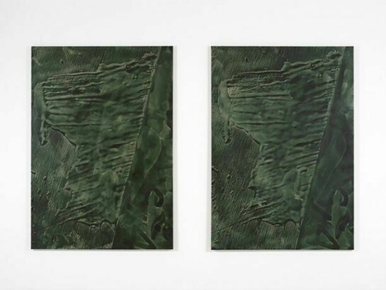 Daniel Lefcourt, Cast, Installation view, 13 February – 22 March 2014, Campoli Presti, London, Courtesy of Campoli Presti, London / Paris