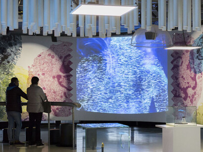 Man and Genes. Courtesy of Cité des Sciences et de l'Industrie