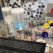 Somos CSIC, vista de exhibición. Cortesía de Casa de la Ciencia