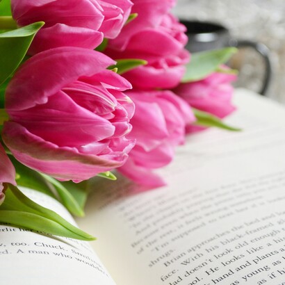 Il progetto mira a superare i limiti di un’editoria provinciale e orientata alle mode, dedicandosi con cura alla riscoperta di autori trascurati