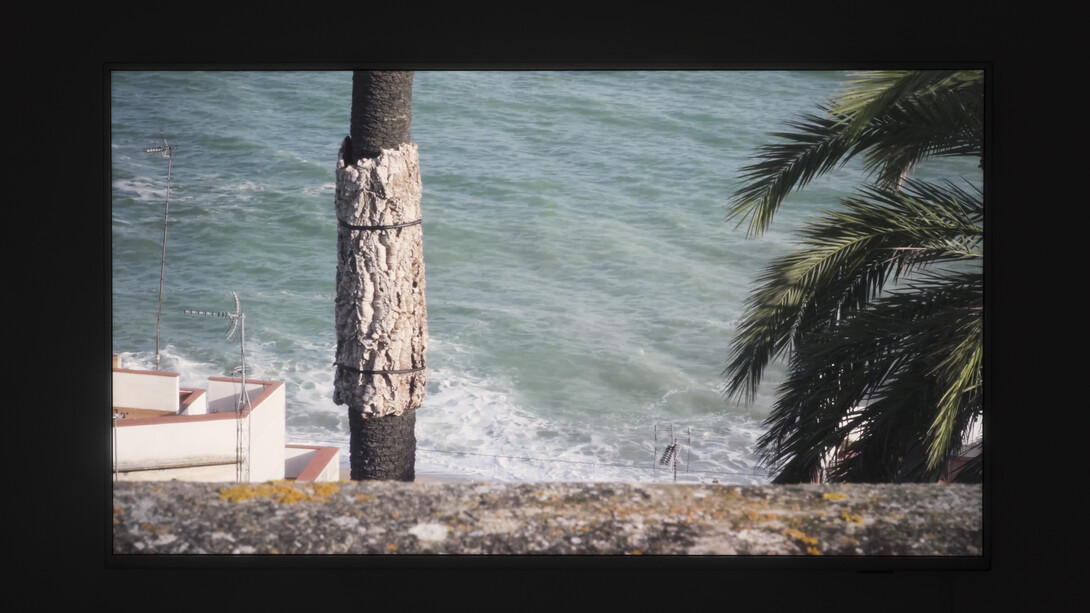 Perejaume, Palmera suro (2021). Courtesy Nogueras Blanchard, Barcelona/Madrid. Photography Roberto Ruiz