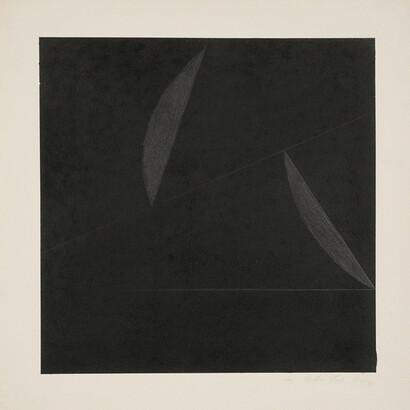 Kay WalkingStick. Courtesy of Montclair Art Museum