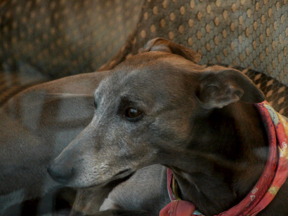 Jem Cohen, Unseen Unsaid (still), 2015 © Jem Cohen. Courtesy the artist and Tintype.