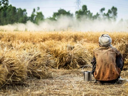 A man farming in the fields and laying down to enjoy the product of his work and his relationship with nature