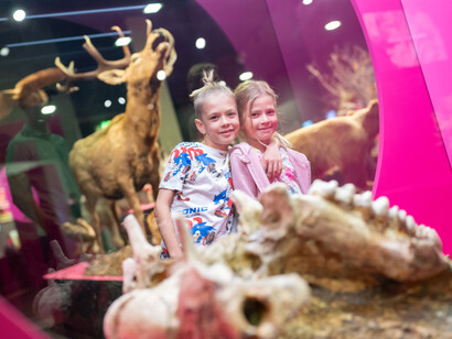 Waldreich. Der wald und wir! Ausstellungsansicht. Mit freundlicher genehmigung des Schlossmuseums Linz