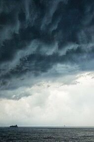 E soprattutto, loro, sicuramente non hanno paura della pioggia. Le inondazioni di maggio invece a me hanno lasciato paura della pioggia, del vento, della siccità, del caldo, del freddo che non arriva