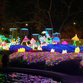 Lektrik art: um festival de luzes. Cortesia da Fever