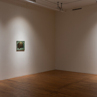Lewis Hammond, The rabbits, exhibition view. Courtesy of 47 Canal