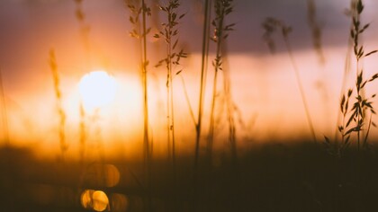 Amanecer tras una noche en vela