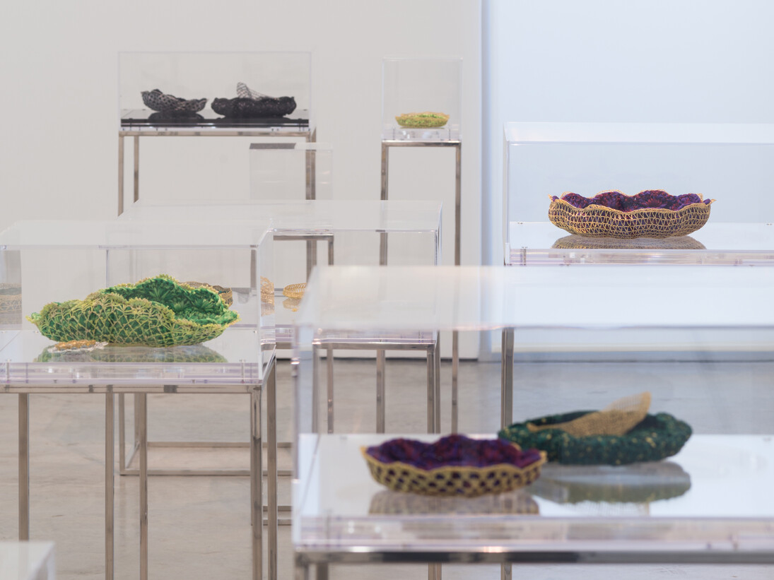 Ana Maria Tavares: Euryale Amazonica, Sicardi Gallery installation view, October 30 - December 20, 2014. Photography by Logan Sebastian Beck.