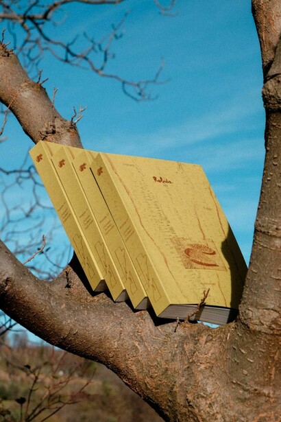The Robida collective, Between roots and crowns: branches as a porous border. Courtesy of MG+MSUM