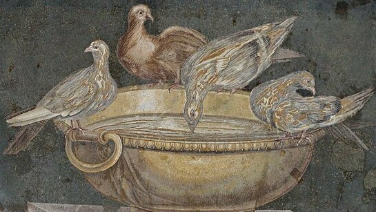 Soso di Pergamo, mosaico, emblema con colombe, fine I secolo a.C. Roma, Musei Capitolini, Palazzo Nuovo 