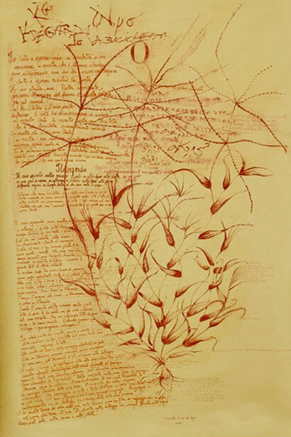 Mariella Busi De Logu, Ildegarda di Binghen