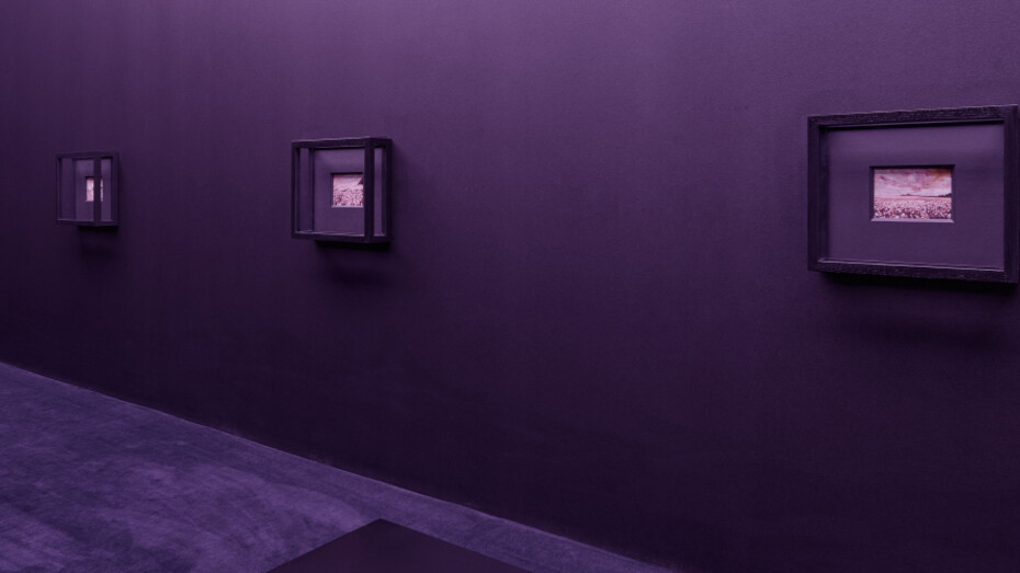 Loris Gréaud. Courtesy of Galerie Max Hetzler