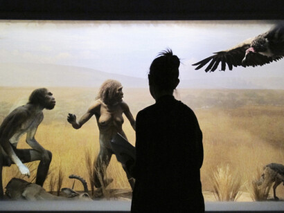 Museo. Courtesy of MALI