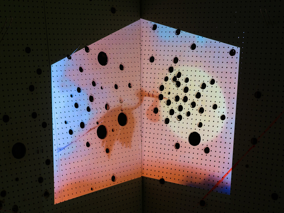 Stephen G. Rhodes, The Eleventh Hobby, 2014, Installation view still, courtesy Vilma Gold, London