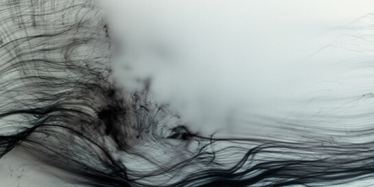 Wolfgang Tillmans. Courtesy of Fondation Beyeler 
