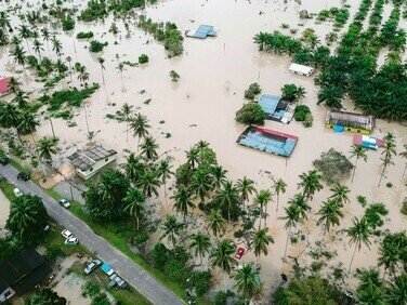 Telhas ao chão, pinheiros, eucaliptos e árvores centenárias caídas com as raízes para cima, como se fossem folhas de papel cortadas a miúdo