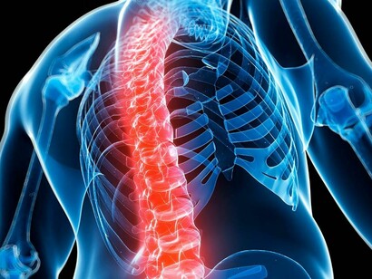 La columna vertebral